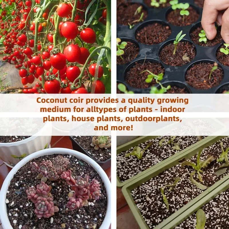 ⏰ - Premium Organic Coconut Coir Bricks For Plants