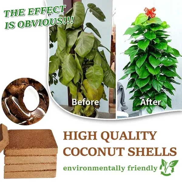 ⏰ - Premium Organic Coconut Coir Bricks For Plants