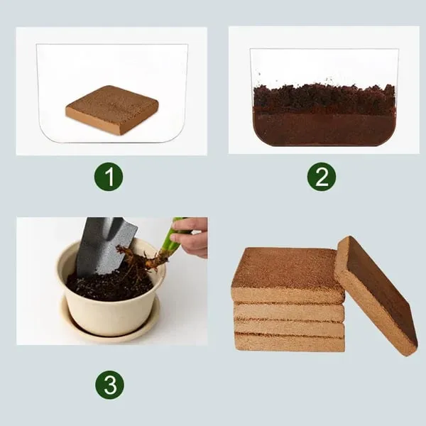 ⏰ - Premium Organic Coconut Coir Bricks For Plants