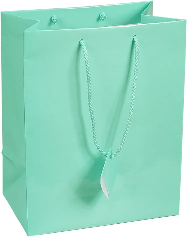 10 pcs Large Fancy Robin's Egg Blue Glossy Finish Shopping Paper Gift Sales Tote Bags with Blank Message Tag 7.75" x 4" x 9.75"