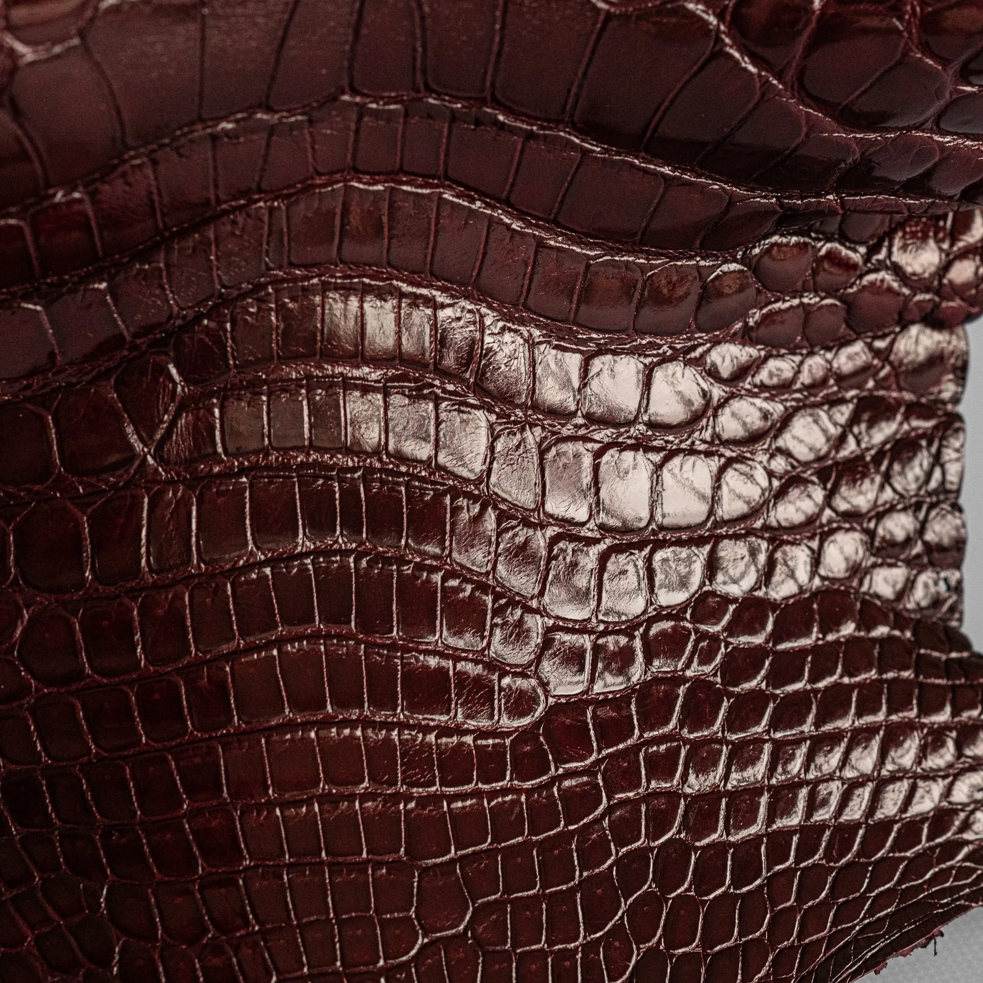Crocodile Burgundy Glossy head