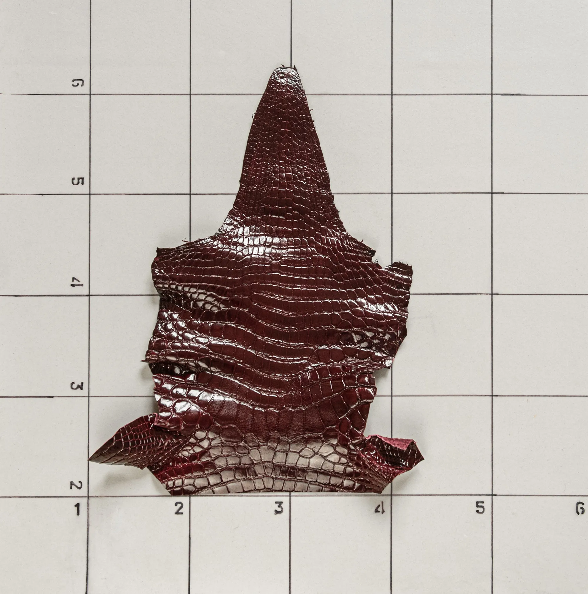 Crocodile Burgundy Glossy head