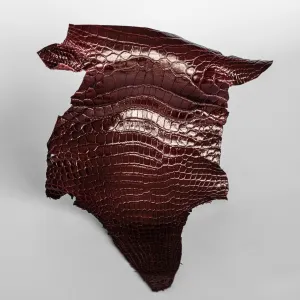 Crocodile Burgundy Glossy head