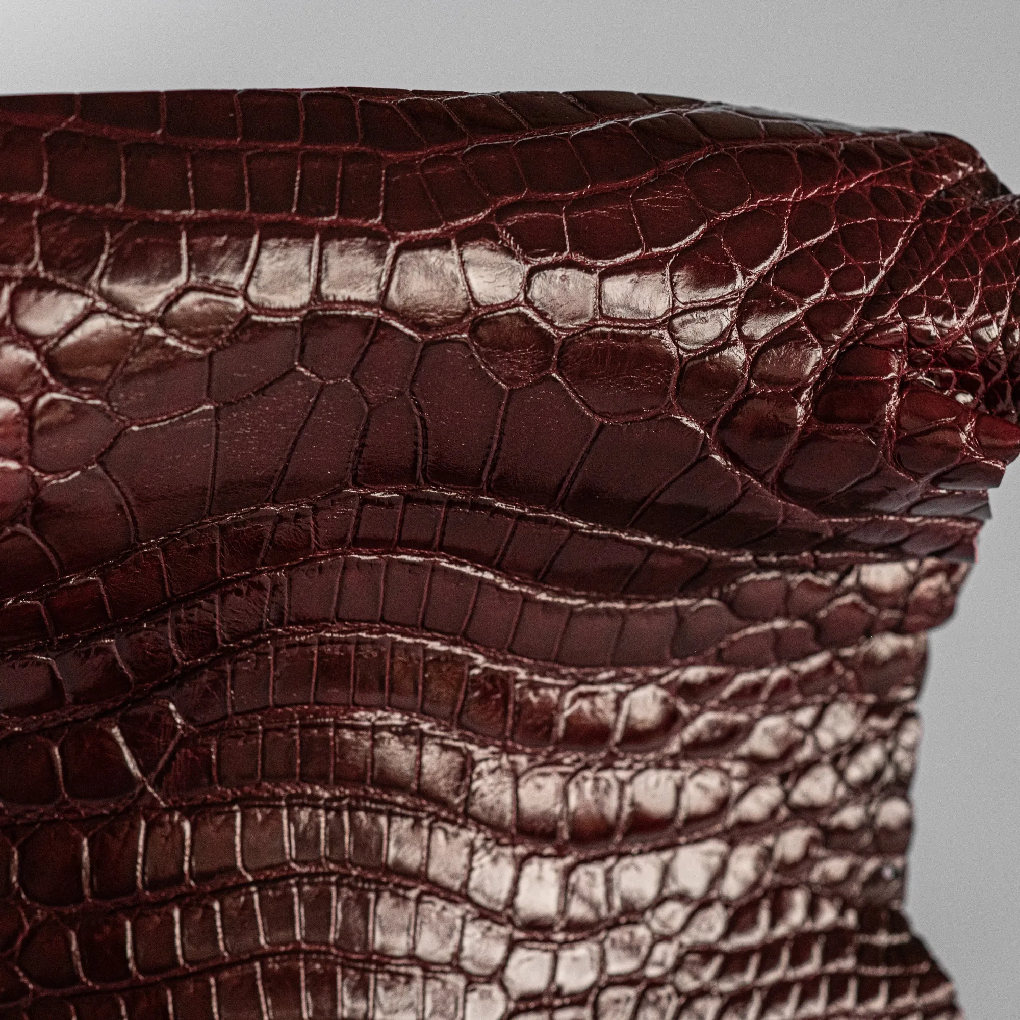 Crocodile Burgundy Glossy head