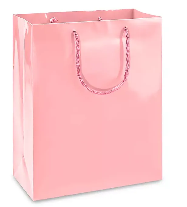 Custom Colored Glossy Paper Shopping bags - 100 Bags