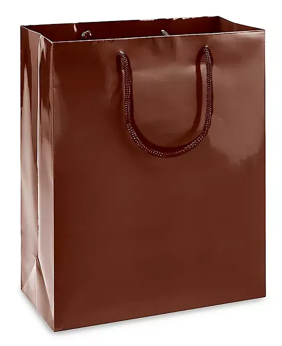 Custom Colored Glossy Paper Shopping bags - 100 Bags
