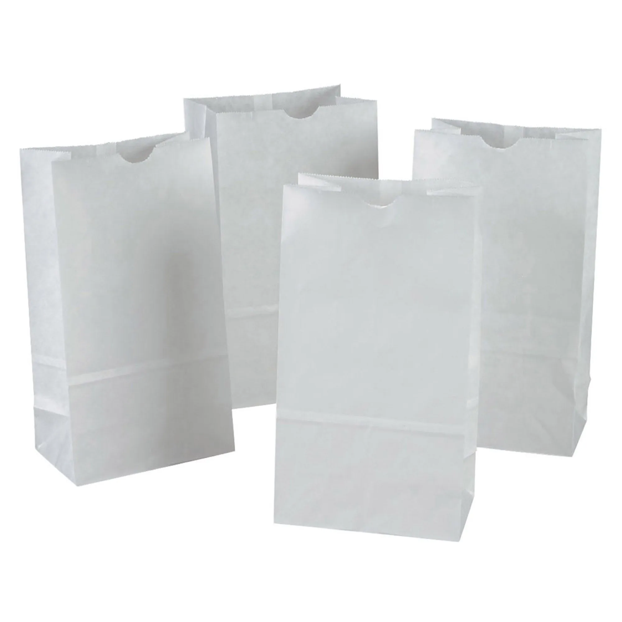 Dixon White Kraft Bag, 100 Pack, 6 x 3-5/8 x 11 (PAC 72020)