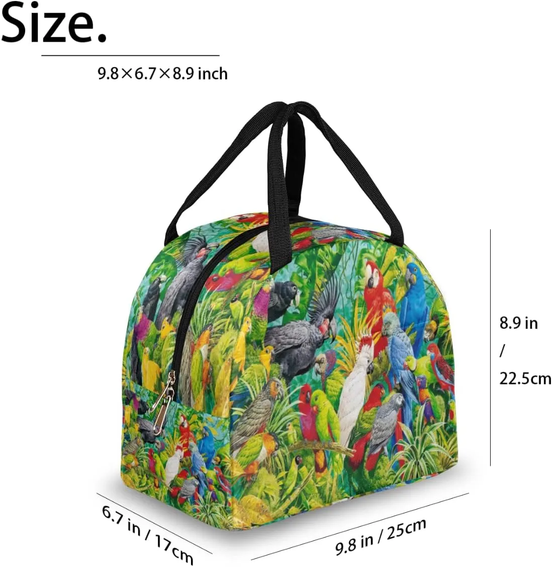 Insulated Lunch Bag for Women Men Colorful Parrot Paint Waterproof Thermal Tote Bag Reusable Lunch Box Container Lunch Holder Leakproof Lunch Cooler Bag Picnic Travel Work