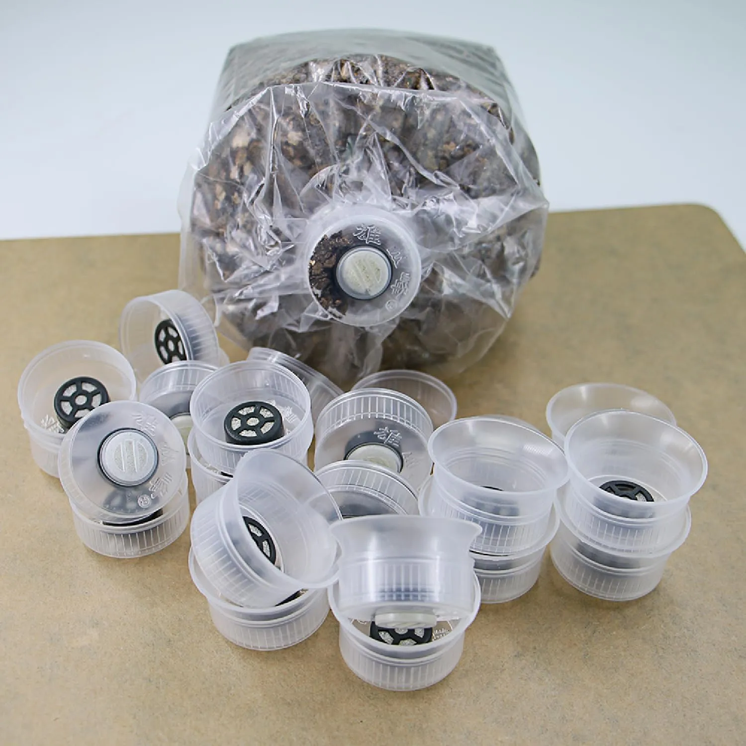 Mushroom Grow Bag Cap and Ring for Cultivating Edible Fungus Sealing Cotton Filter Cover 32mm (100, Transparent)