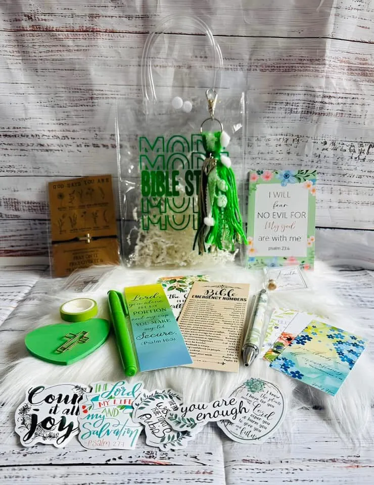 MYSTERY BIBLE STUDY BAGS