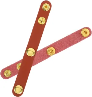 NUOBESTY 2Pcs Fixed Buckle Clips for Bag Strap Adjustment Shorten Handle Clips for Handbags and Shoulder Bags Easy Installation Bag Accessories Light