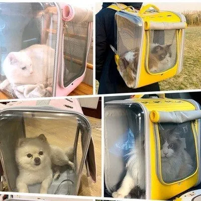 Portable backpack Transparent