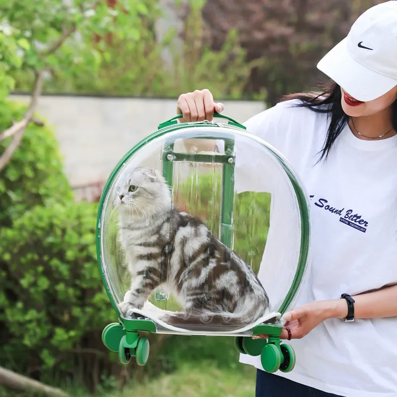Portable Transparent Trolley Case