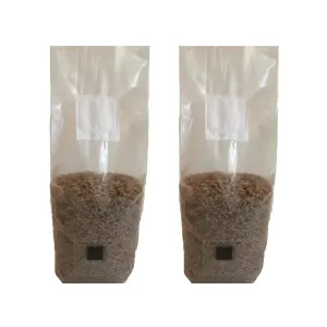 Rye Berry Mushroom Spawn Bags with Injection Ports - 4 lb | Fully Sterile | All Organic Substrate | Calcium and Sulfur