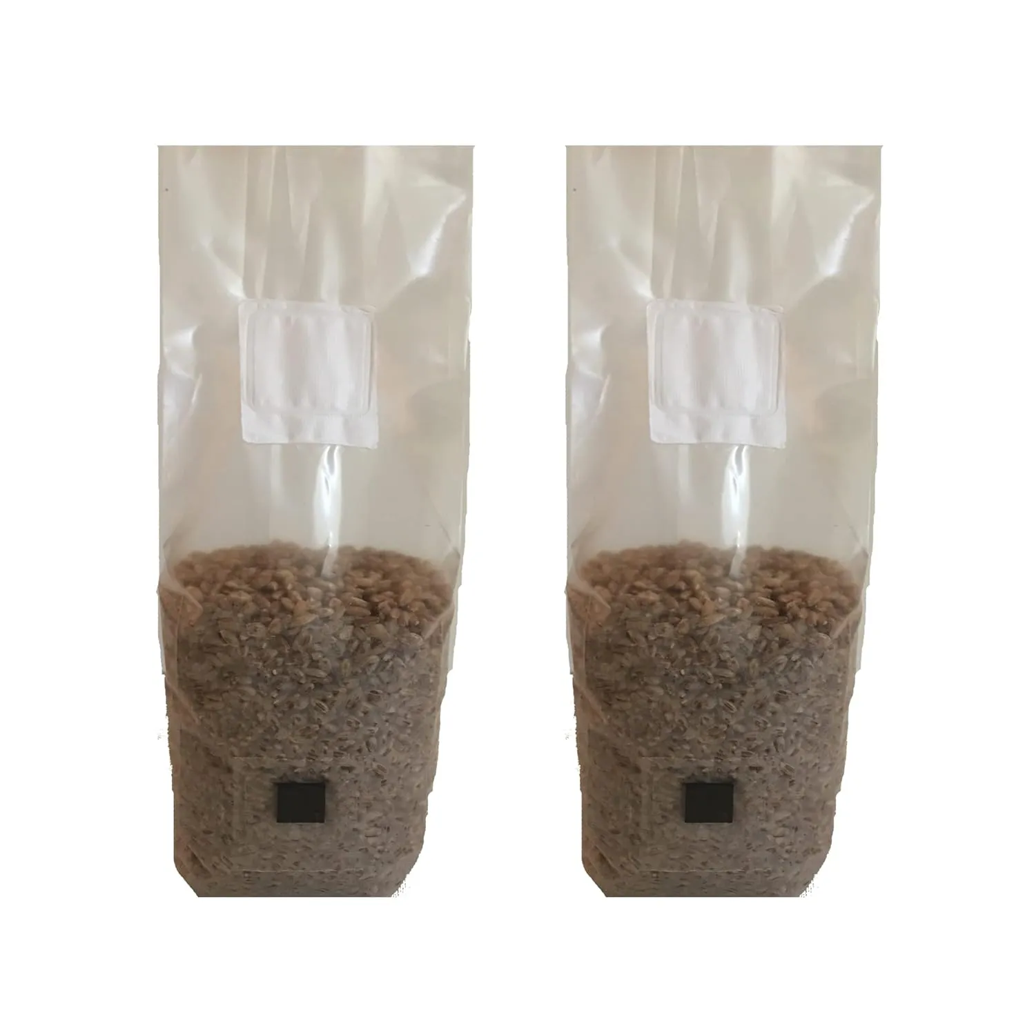 Rye Berry Mushroom Spawn Bags with Injection Ports - 4 lb | Fully Sterile | All Organic Substrate | Calcium and Sulfur