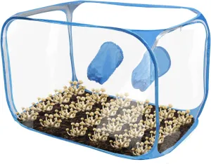 Still air Box - Mushroom Growing Tent-Spore Fungus Fume Hood Propagation Stations.35.8x23.2x22.8 inch